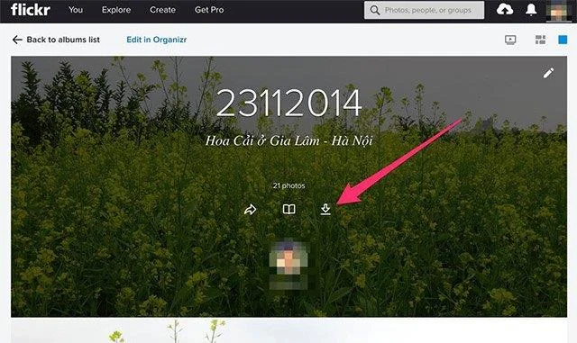How to download all photos from Flickr to your computer