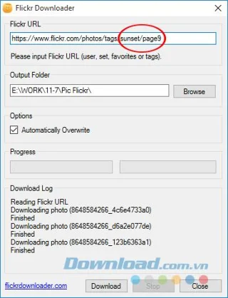 How to download all photos from Flickr to your computer