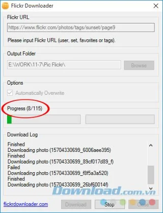 How to download all photos from Flickr to your computer