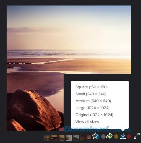 How to download all photos from Flickr to your computer