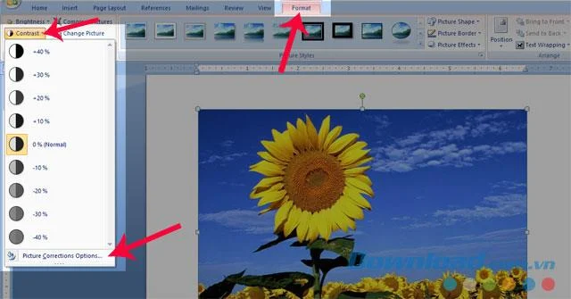 คำแนะนำสำหรับการเบลอภาพใน Word