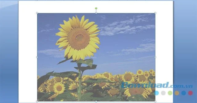 دستورالعمل هایی برای تار شدن تصاویر در Word