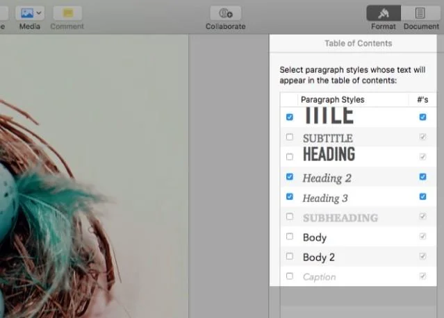 5 stappen om eenvoudig een e-boek in Pages op Mac te maken