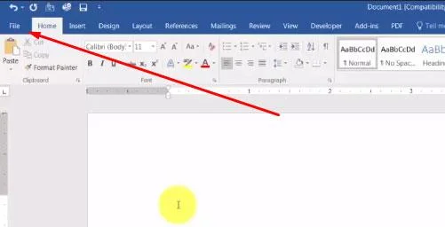 Istruzioni per eliminare le linee orizzontali in Word