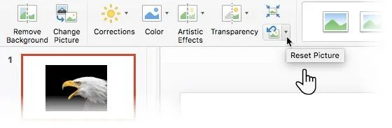 Microsoft PowerPointte saydam görüntüler oluşturma