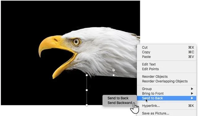 Microsoft PowerPointte saydam görüntüler oluşturma