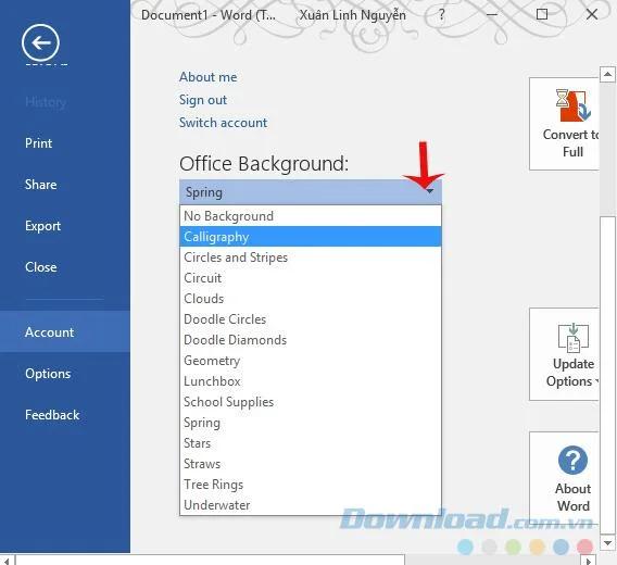 Microsoft Office 2016 arabirimini özelleştirme ipuçları