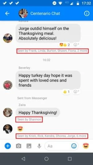 The meaning of the green ticks in Facebook Messenger