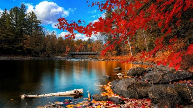 25 تصویر زمینه تم زیبا پاییزی برای رایانه