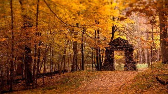 25 تصویر زمینه تم زیبا پاییزی برای رایانه