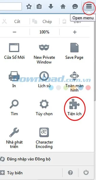 رفع IDM به طور خودکار موسیقی را در مرورگرها بارگیری کنید