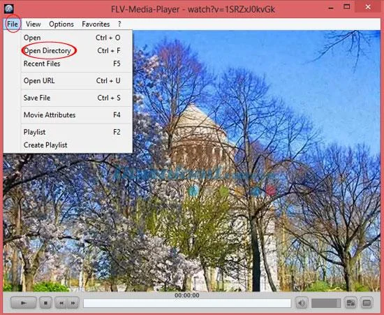 FLV Media Player را برای تماشای فیلم ها و گوش دادن به موسیقی به طور رایگان نصب کنید
