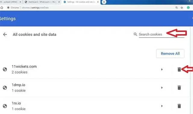 2 روش برای حذف کوکی های یک وب سایت خاص در Chrome