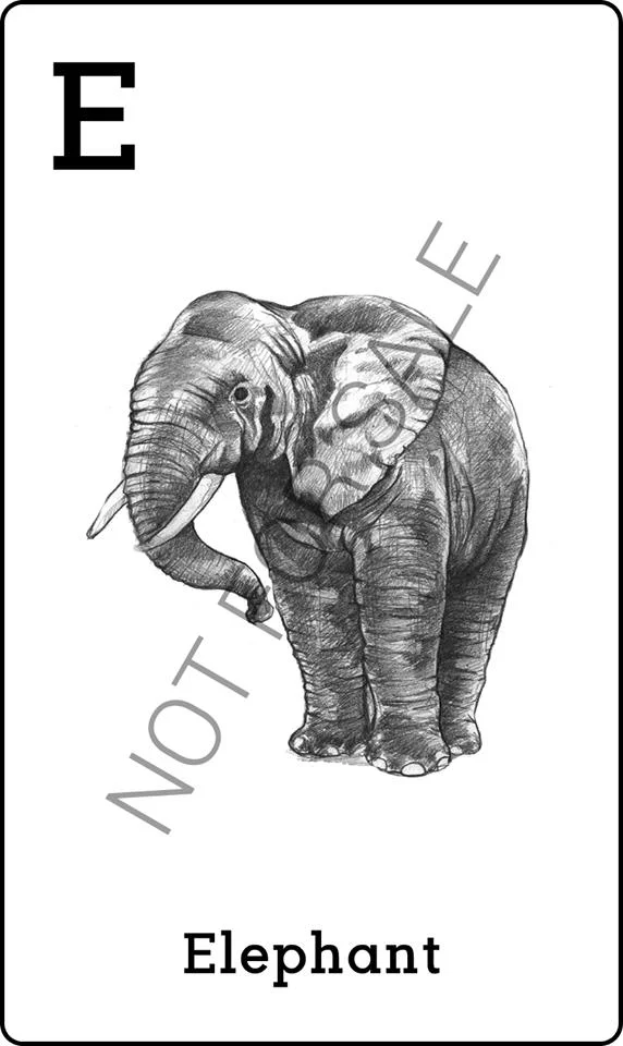 نحوه استفاده از Animal 4D + ایجاد حیوانات 4D که بر روی تلفن شما حرکت می کنند
