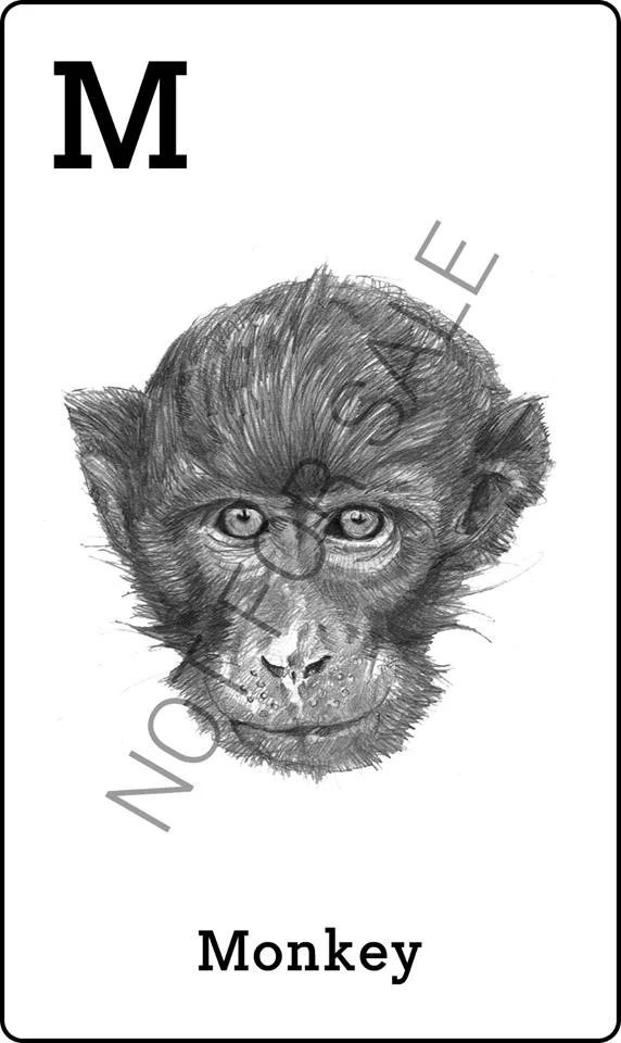 نحوه استفاده از Animal 4D + ایجاد حیوانات 4D که بر روی تلفن شما حرکت می کنند