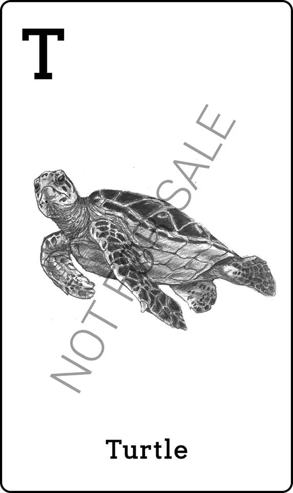 نحوه استفاده از Animal 4D + ایجاد حیوانات 4D که بر روی تلفن شما حرکت می کنند