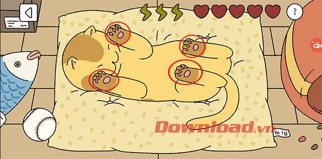نحوه حیوان خانگی گربه هنگام بازی Adorable Home