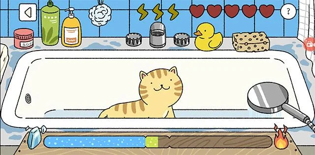 نحوه استحمام گربه در خانه شایان ستایش