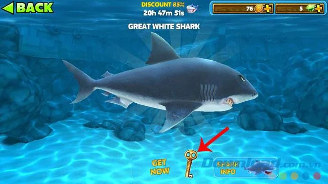 دستورالعمل نصب و پخش Hungry Shark Evolution از طریق تلفن شما