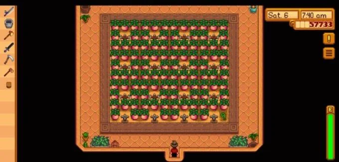 راهنمایی ها و ترفندهای Stardew Valley که همه باید بدانند