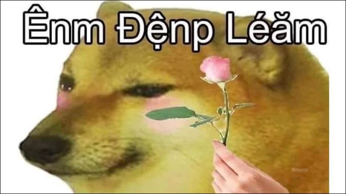 Meme은 무엇입니까?  베트남에서 가장 인기 있고 의미있는 Facebook 밈 Top 10