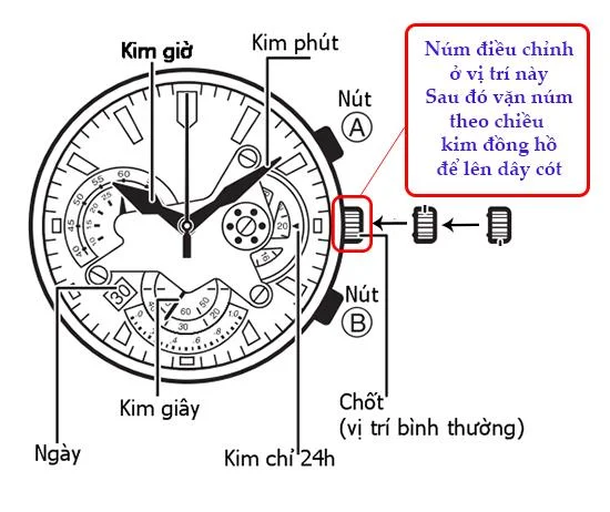 ساعت اتوماتیک چه مدت دوام می آورد؟  آیا نیاز به پیچیدن دارم؟