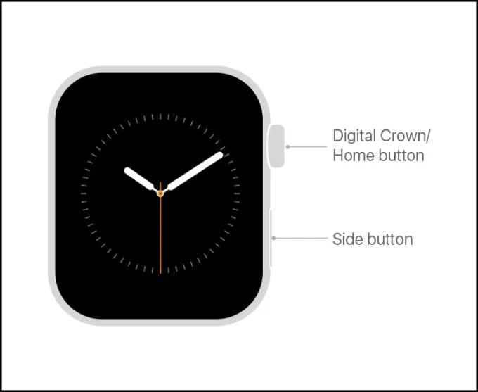 A부터 Z까지 Apple Watch 사용에 대한 초보자 가이드