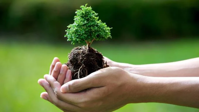 ¿Debería usar un reloj?  ¿Qué color debo usar, de qué tipo?