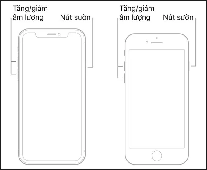 iPhone이 고정되거나 고정되었을 때 강제로 다시 시작하는 방법 : 모든 모델 적용