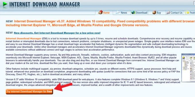 IDM'nin nasıl düzeltileceğine ilişkin talimatlar, Chrome'daki indirme bağlantılarını otomatik olarak yakalamıyor