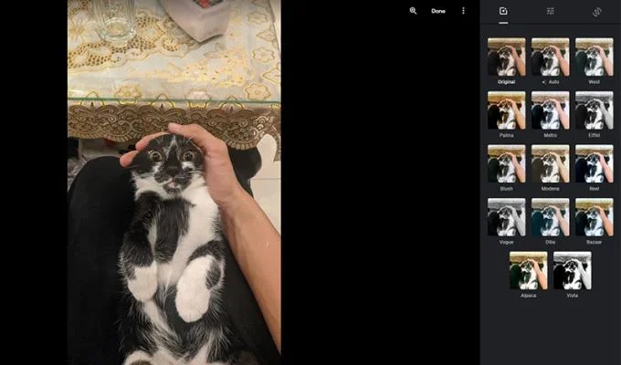 TOP 10 software gratuito de collage de fotos en línea y gratuito en su computadora