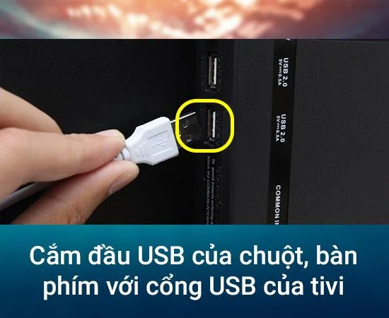 Fareyi, klavyeyi akıllı TV'ye ve internet TV'ye bağlama talimatları