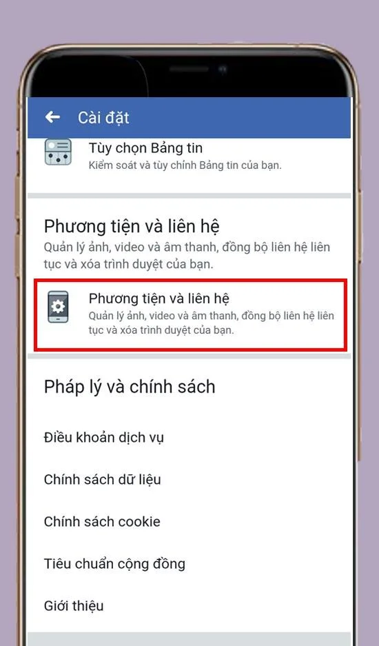 媒體和聯繫人