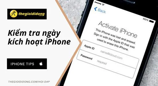 iPhone 활성화 날짜 확인 방법