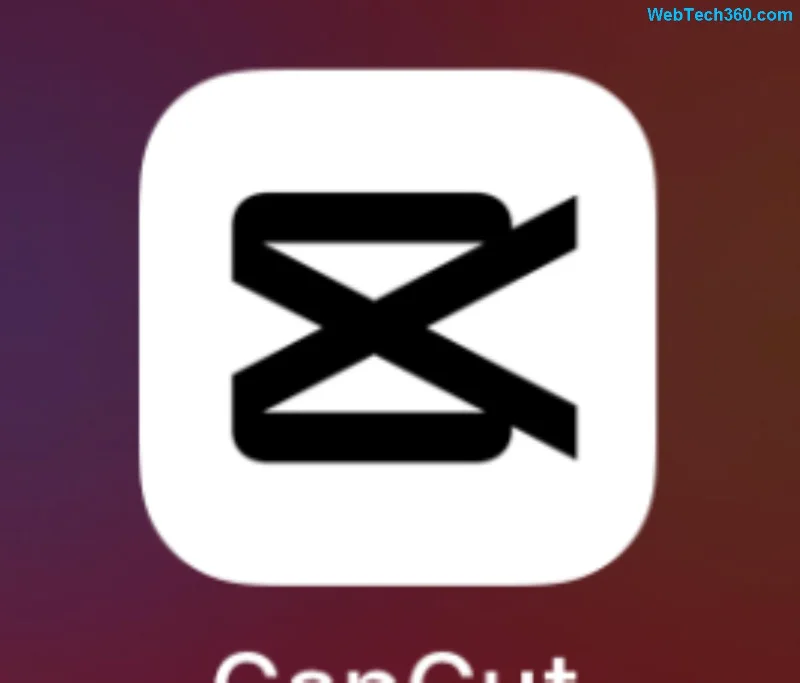 Fonctionnalités de CapCut Pro