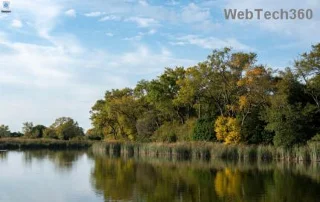 Menyelesaikan masalah BSOD Anti-Cheat Windows 11 Fortnite