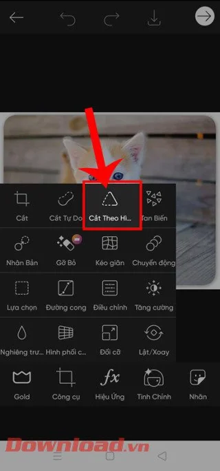 Instructions for cutting photos into circles on PicsArt