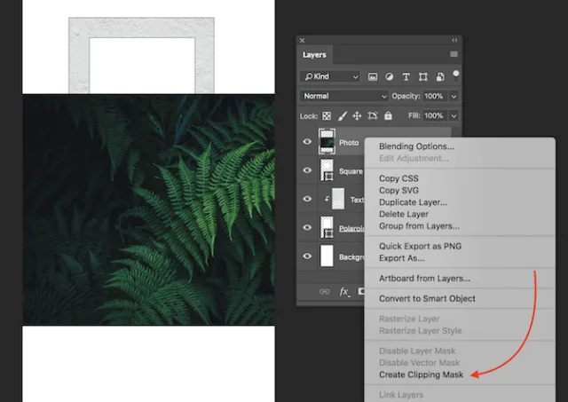Photoshop
