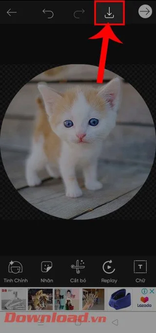 Instructions for cutting photos into circles on PicsArt