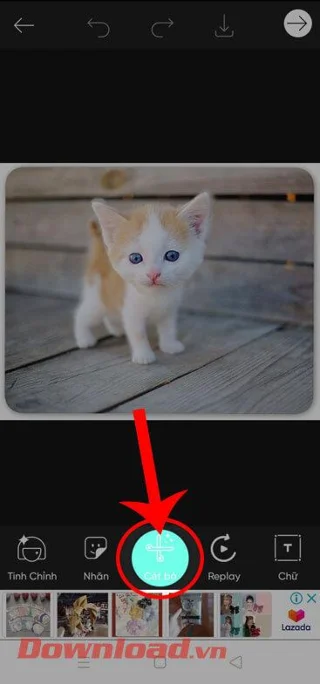 Instructions for cutting photos into circles on PicsArt