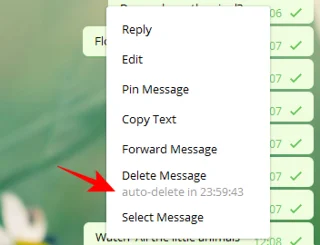 Como enviar mensagens autodestrutivas no Telegram