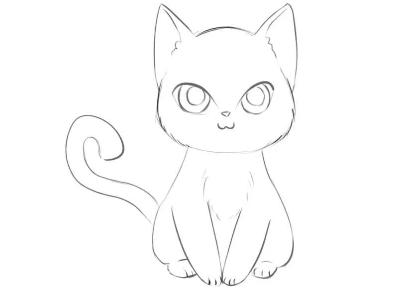 How to draw cute anime cat