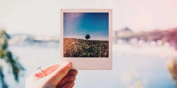 I modi più semplici per creare bordi per le foto I modi più semplici per creare bordi per le foto