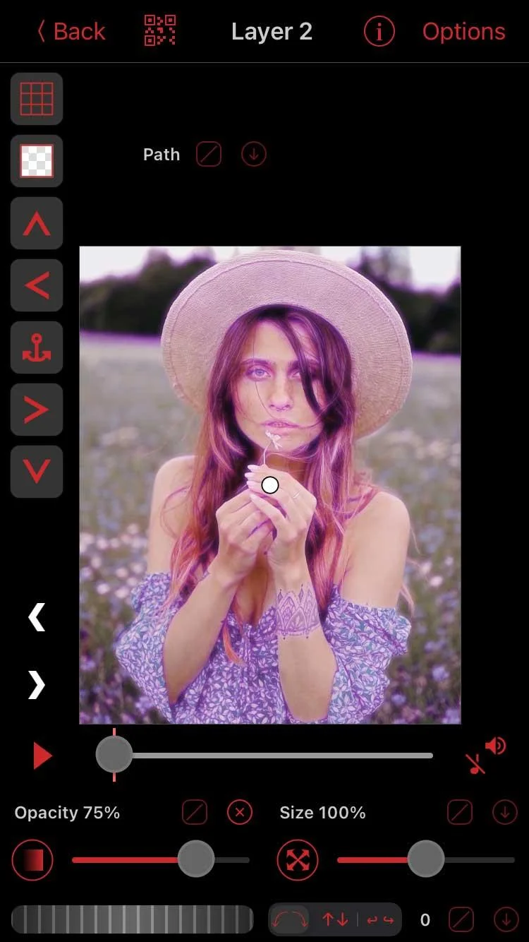 How to adjust color on Video Star without Custom Coloring