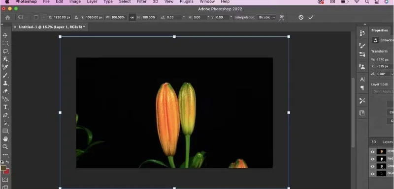 Software perekam layar komputer terbaik TOP 2024