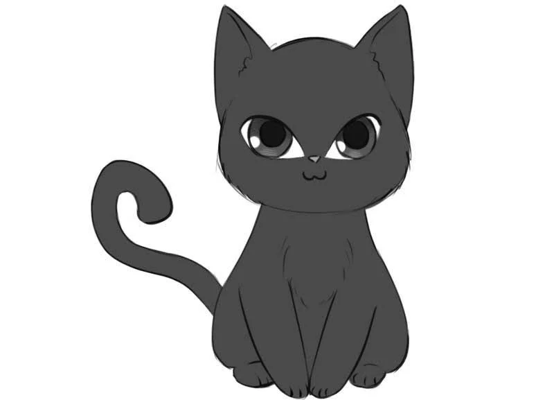 How to draw cute anime cat