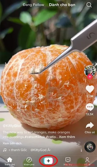 Petunjuk cara mengambil foto di Tiktok sangat sederhana