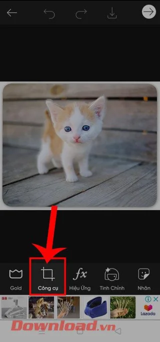 Instructions for cutting photos into circles on PicsArt