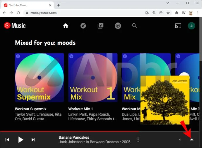 چگونه صف را در YouTube Music پاک کنیم