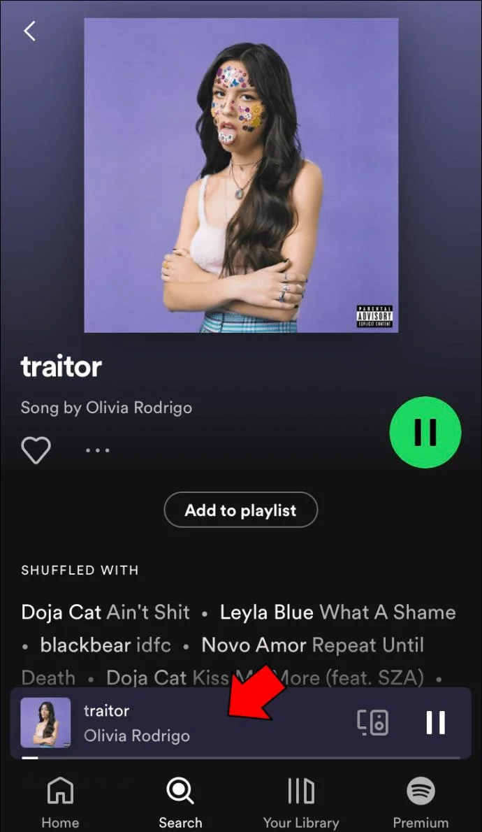 نحوه مشاهده متن ترانه در Spotify